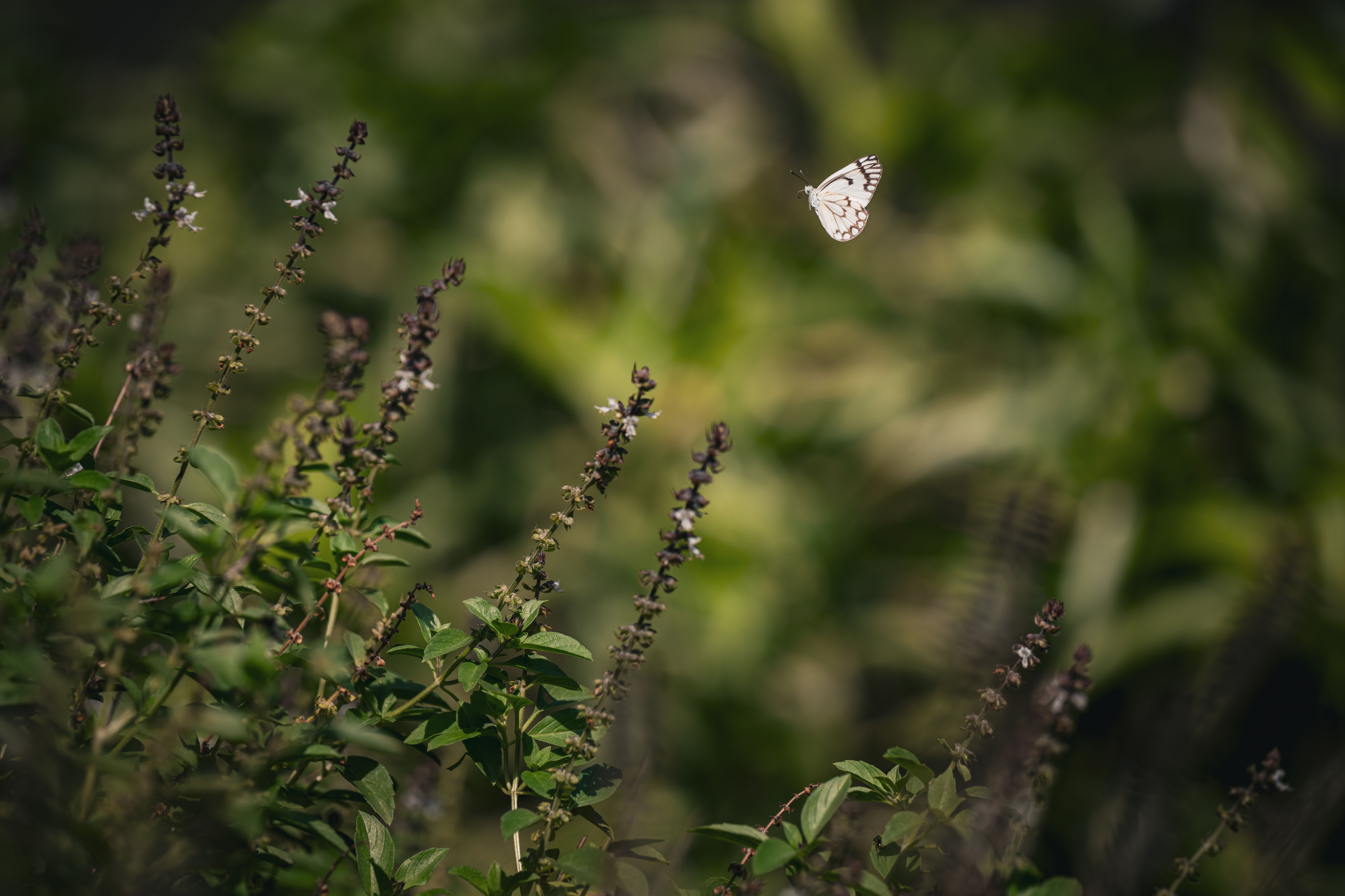Why Change Feels So Hard — And Why Acceptance Can Be a Change Too