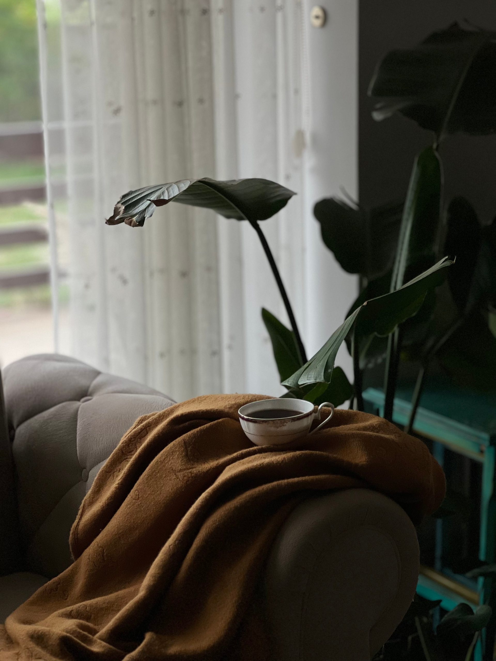 Cup of tea resting on a chair, reflecting the calm, unhurried pace of working together